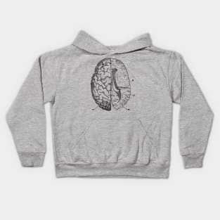 Brain anatomy Kids Hoodie